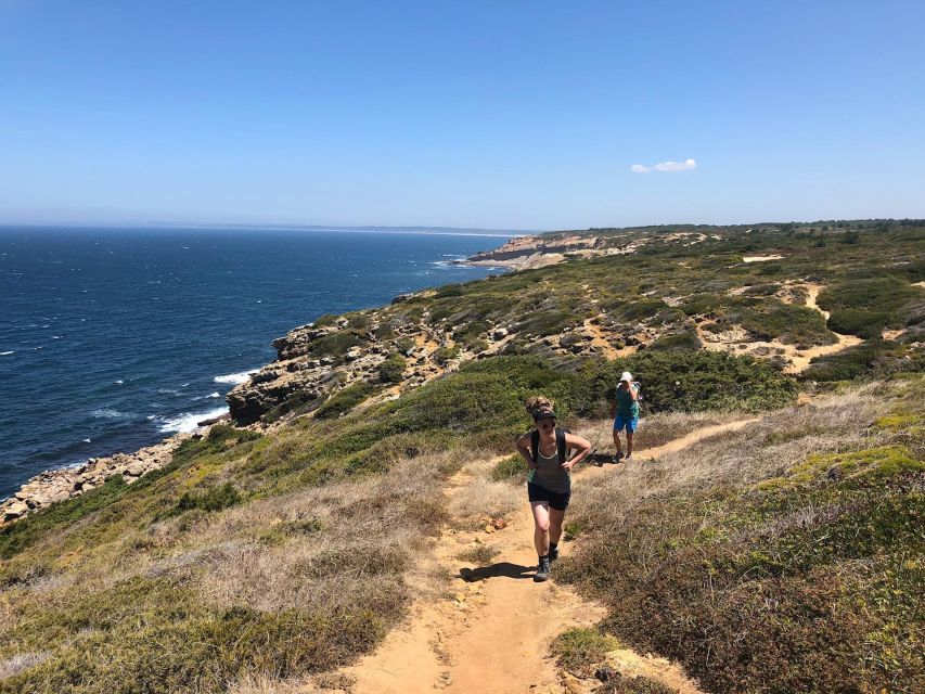 Hiking Tour Along the West Coastline - Fossil footprints you’ll actually find (with the guide’s eyes)