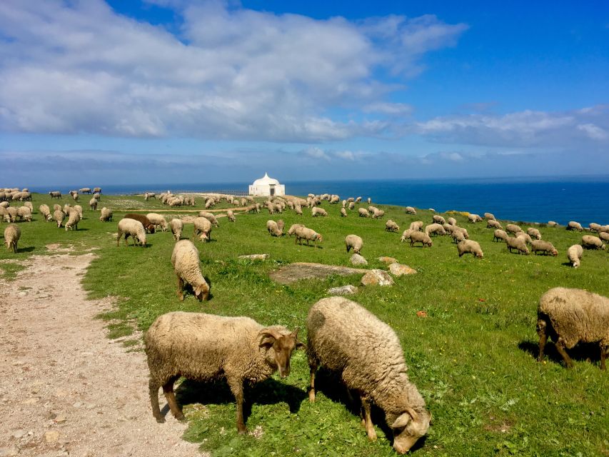 Hiking Tour Along the West Coastline - The longer Praia das Bicas finale: your guided walk through the best sea views