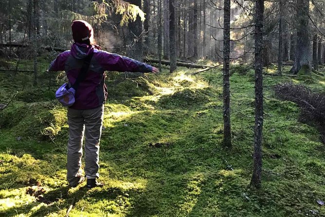 Hiking tour in Nuuksio National Park with meal and snacks - Key things I’d plan for