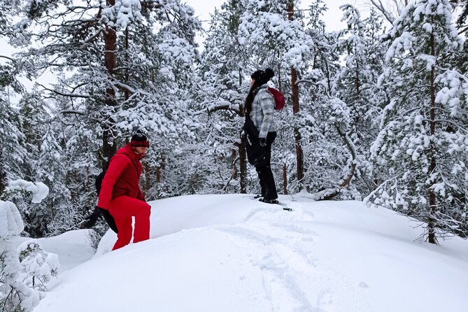 Hiking tour in Nuuksio National Park with meal and snacks - Nuuksio National Park with a guide: why this hike feels different
