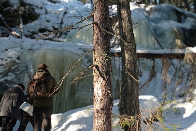 Hiking tour in Nuuksio National Park with meal and snacks - Wet feet? Wear the right shoes and you’ll enjoy it more