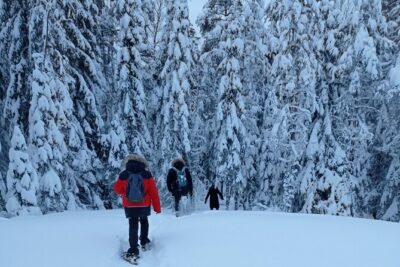 Hiking tour in Nuuksio National Park with meal and snacks - The Nuuksio hike: terrain, stops, and what you’ll notice on the trail