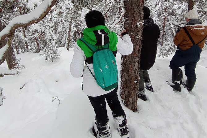Hiking tour in Nuuksio National Park with meal and snacks - Food in the forest: glögi, soup, bread, and snacks that actually taste good