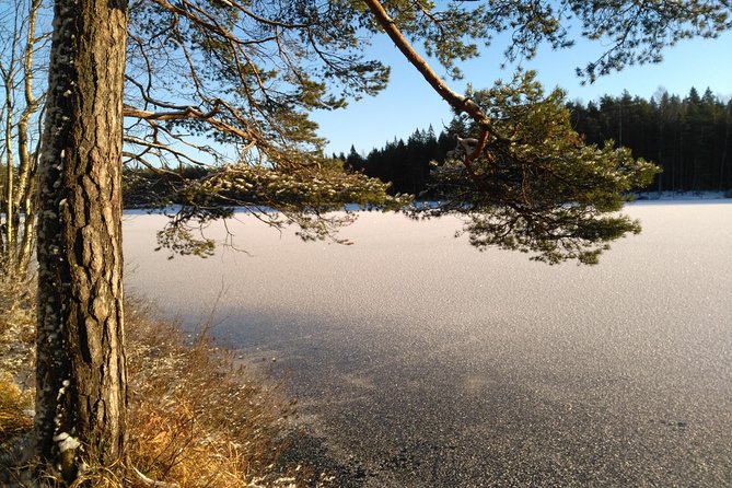 Hiking tour in Nuuksio National Park with meal and snacks - Guide David: what you’re paying for besides the trail
