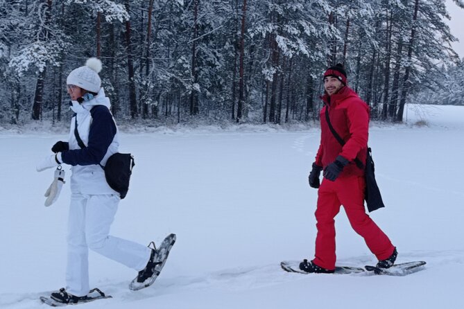Hiking tour in Nuuksio National Park with meal and snacks - Who this tour fits best (and who might want another option)