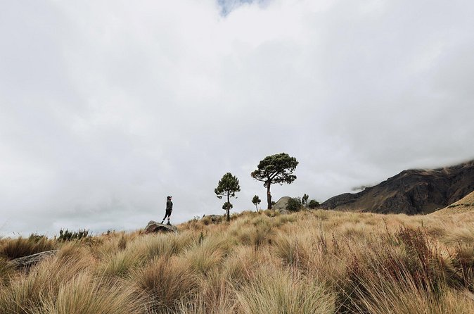Hiking Tour on the Iztaccíhuatl Volcano from Puebla - The altitude piece: oxygen checks and a guide’s real job