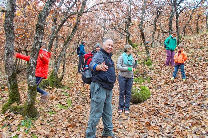 Hiking Tour to Meteora from Kalambaka - Local Agency - Price and Value: Is $36.20 Worth It?