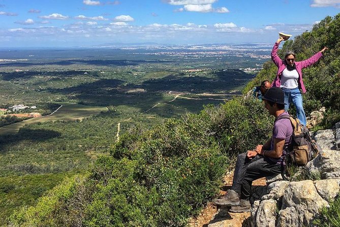 Hiking tour to the highest point of Arrábida mountain - Your guide’s botany and animal notes: small stops, big payoff