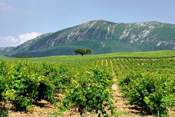Hiking tour to the highest point of Arrábida mountain - Is it worth $92.42? Pricing vs. what you actually get