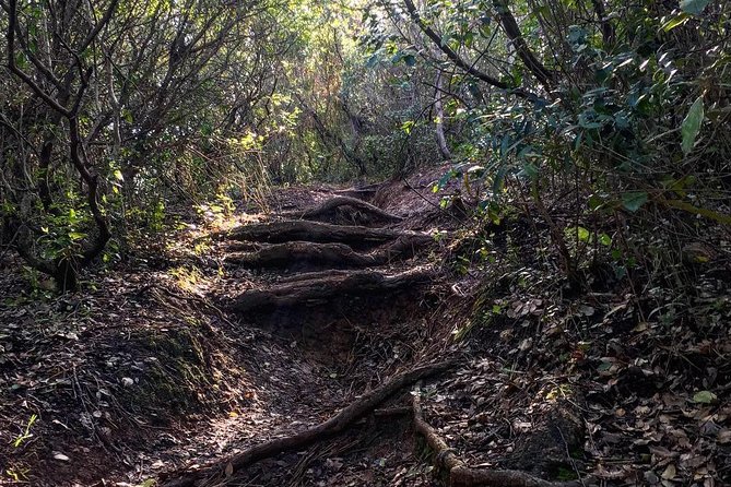 Hiking tour to the highest point of Arrábida mountain - Logistics that matter on a hike day (without the stress)