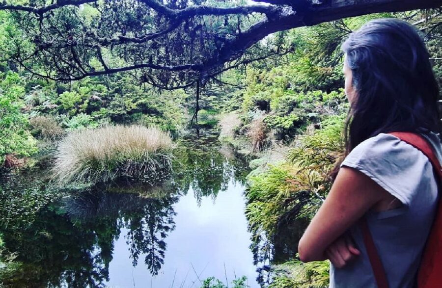 Hiking Trail Mistérios Negros | Terceira Island - Key Things I’d Watch For