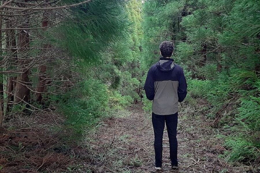 Hiking Trail Mistérios Negros | Terceira Island - What to Pack, and How to Match the Trail’s Pace