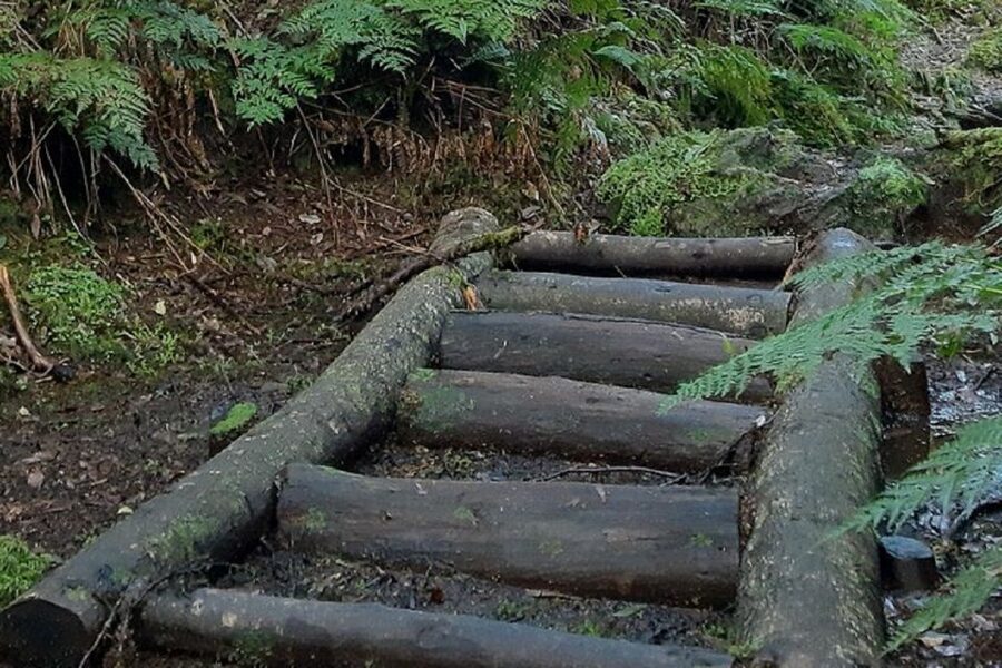 Hiking Trail Mistérios Negros | Terceira Island - The 5 km Circular Loop: The Real Shape of the Walk
