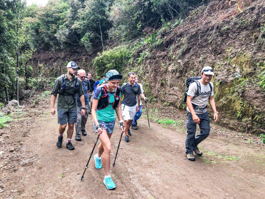 Hiking Trip with a Local - Key things that make this Madeira hike work so well
