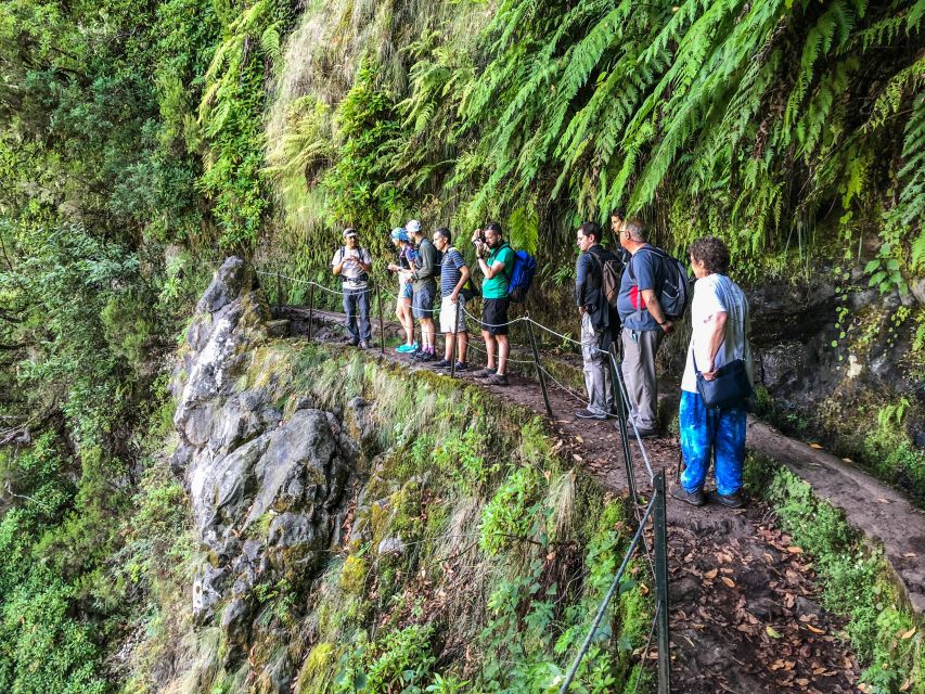Hiking Trip with a Local - Why this Madeira hike feels personal with a local guide