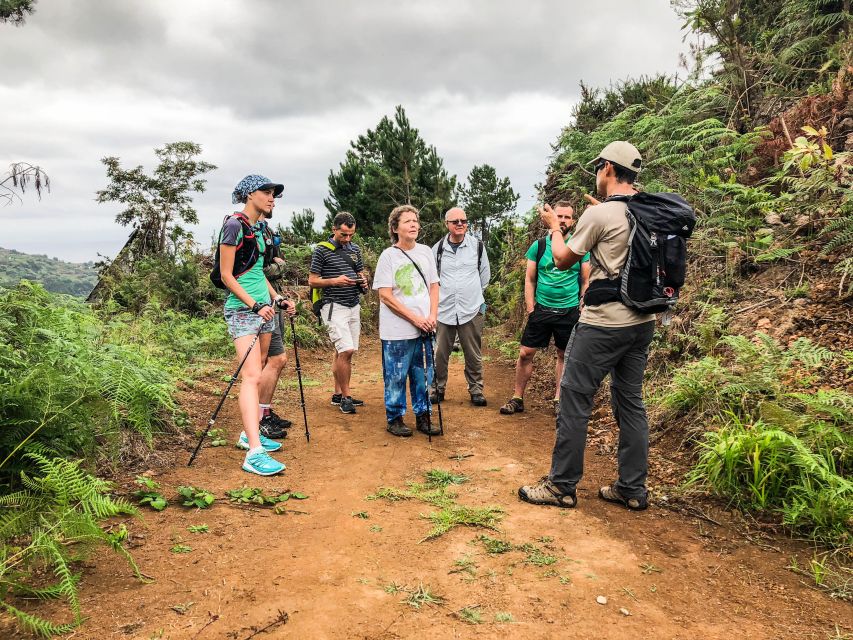 Hiking Trip with a Local - Choosing your route by day: waterfalls, forests, levadas, and sea cliffs