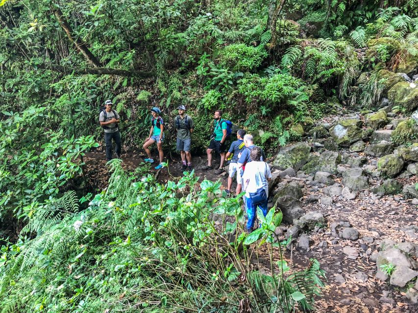 Hiking Trip with a Local - The real value: $76 for a guided day that saves you time and stress