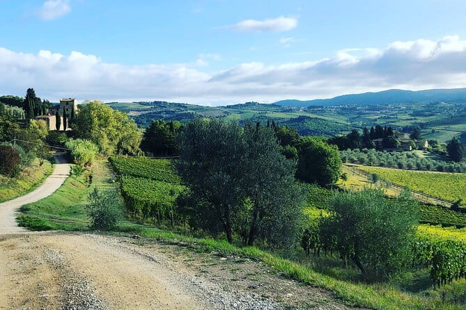 Hiking Tuscany & Chianti Wine - 3 Organic Wineries with lunch - Florence to Chianti: how the day actually flows