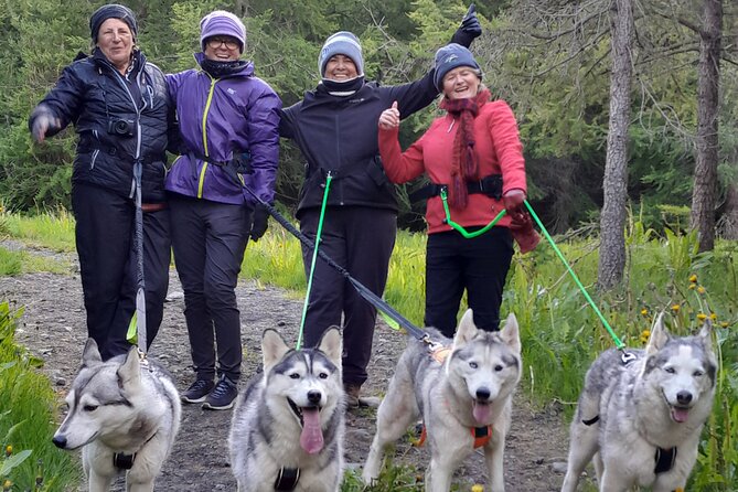 Hiking with Husky in Akureyri - Quick hits before you go