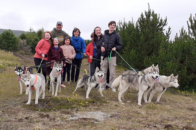 Hiking with Husky in Akureyri - Where the adventure starts: Glæsibær 3 and the goHusky welcome