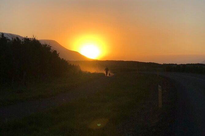 Hiking with Husky in Akureyri - Before and after: learning how huskies are raised and trained