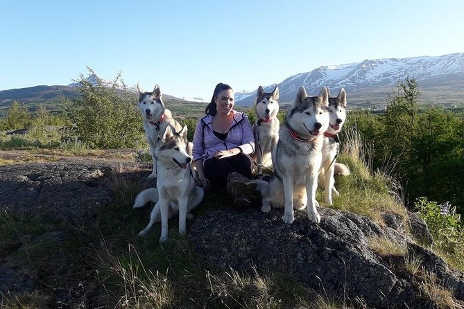 Hiking with Husky in Akureyri (private) - Husky Handling 101: Harnesses, Choosing Your Dog, and Trail Pace