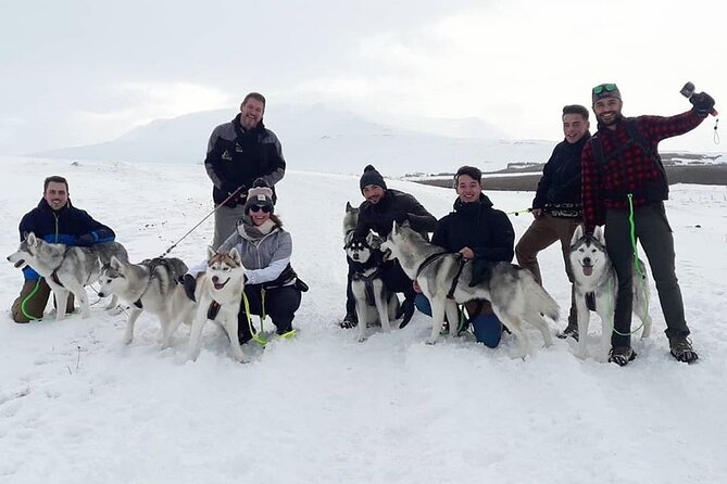Hiking with Husky in Akureyri (private) - The Walk Through Woodland and Countryside (Plus Sea Views)
