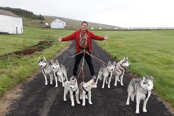 Hiking with Husky in Akureyri (private) - Who This Is Best For (And Who Should Skip It)