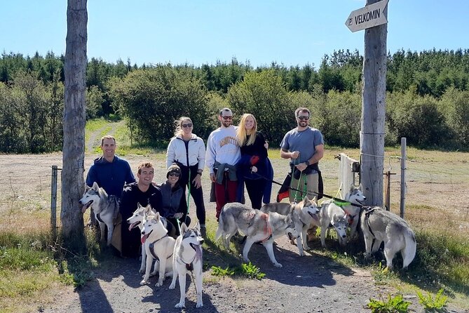 Hiking with Husky in Akureyri (private) - Price and Value: Why $1,105.35 Per Group Can Make Sense