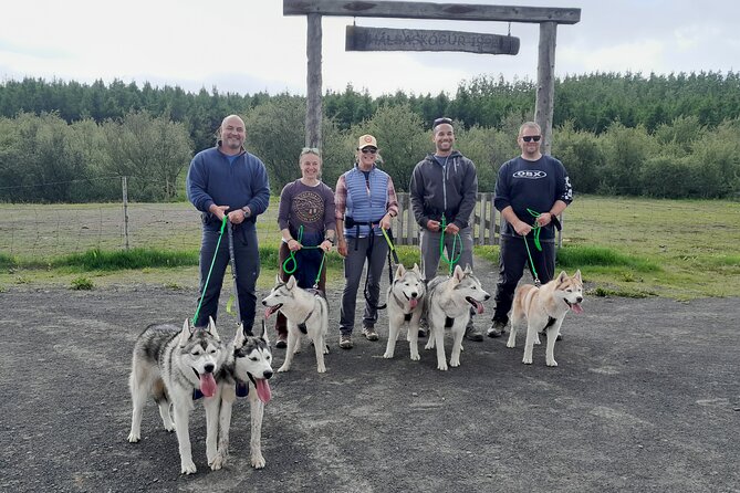 Hiking with Husky in Akureyri - The views around Akureyri: mountains, sea, forest, and real North Iceland air