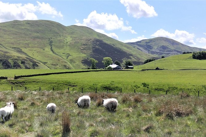 Hill & Nature Hike - Discover Real Edinburgh With a Local Expert - Stop in the Pentlands: what you’ll see on the way up