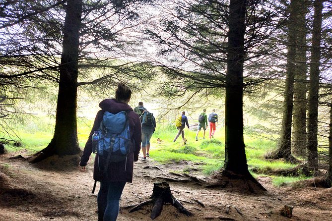 Hill & Nature Hike - Discover Real Edinburgh With a Local Expert - Timing, pacing, and the real feel of a 4 to 5 hour tour