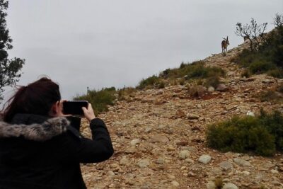 Historical Montserrat Half-Day Hiking Tour from Barcelona - Sant Joan’s Funicular: the shortcut to big views