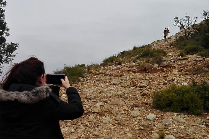 Historical Montserrat Half-Day Hiking Tour from Barcelona - Sant Joan’s Funicular: the shortcut to big views