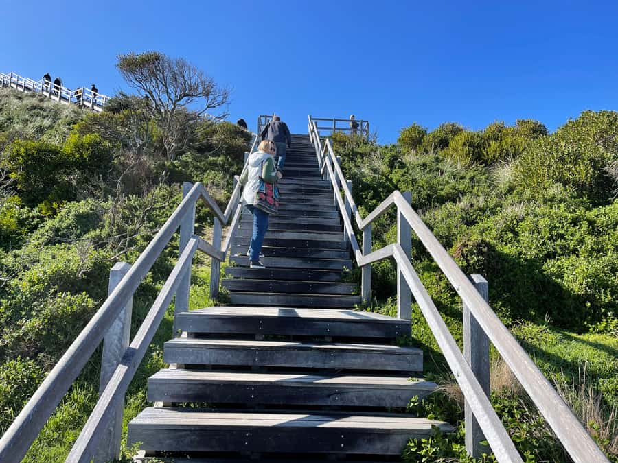 Hobart: Bruny Island Adventure: Hike, Highlights & Tastes - Entering Bruny Island’s World: Coast, Food, and The Neck Views