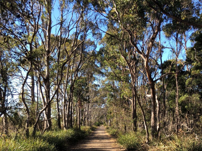 Hobart: Bruny Island Adventure: Hike, Highlights & Tastes - Mars Bluff, Miles Beach, and the Time Window for the Arch