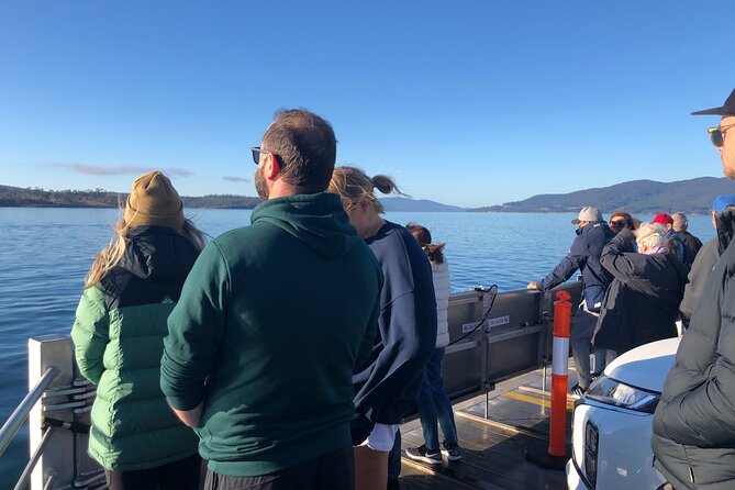 Hobart: Bruny Island Adventure: Hiking, Highlights & Local tastes - The Neck climb at Trugannini Lookout (279 stairs)
