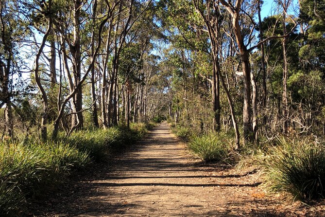 Hobart: Bruny Island Adventure: Hiking, Highlights & Local tastes - Local produce stops: honey, chocolate, cheese, and oysters