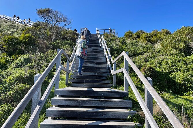 Hobart: Bruny Island Adventure: Hiking, Highlights & Local tastes - From central Hobart to Kettering and the included ferry