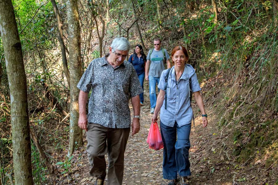 Hong Kong: Dragon's Back Hike - Seasonal photo stops and why the guide’s perspective helps