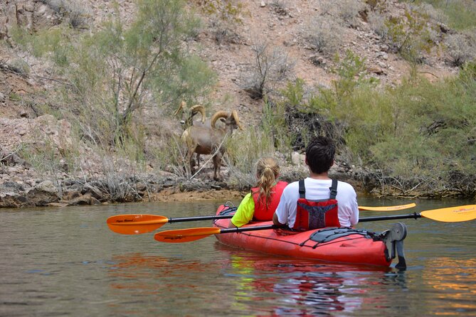 Hoover Dam & Hot Springs Kayak Tour with Lunch & Expert Guide - The 12-Mile Paddle: Flat Water, Still Not a Walk in the Park