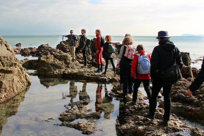 Howth Safari Hiking Tour - Howth Safari Starts in Town, With Scones and Sea Air