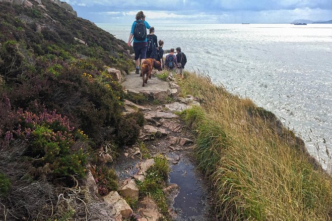 Howth Safari Hiking Tour - Stop 3: Shielmartin Hill to the Cliff Path (Heathers, Views, Upward Work)