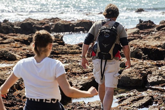 Howth Safari Hiking Tour - Stop 6: Red Rock, Sea Caves, and the Baily Lighthouse Cliffs