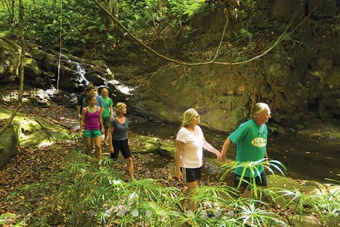 Huleia River Hidden Valley Falls Kayak & Hike - Price and Value: Is $162.28 Worth It?
