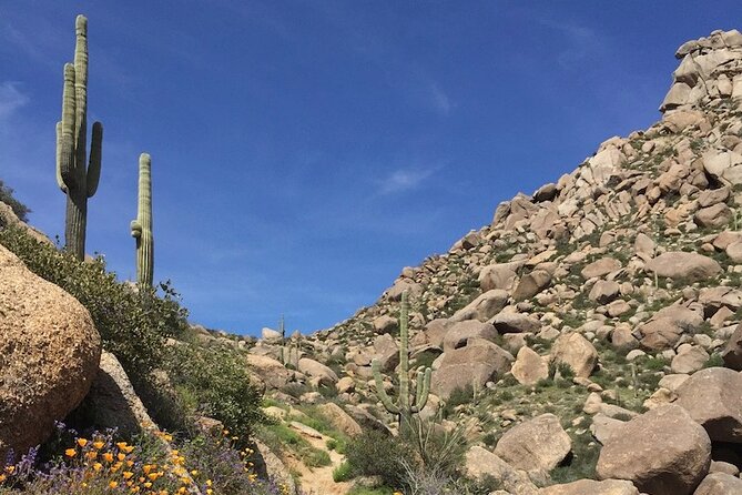 Iconic Tom's Thumb Guided Hiking Adventure in Scottsdale, Arizona - The climb on switchbacks: views, cacti, and pacing that actually helps