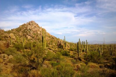 Iconic Tom's Thumb Guided Hiking Adventure in Scottsdale, Arizona - Starting at Tom’s Thumb Trailhead (12943 E Paraiso Dr): expect a guided warm-up