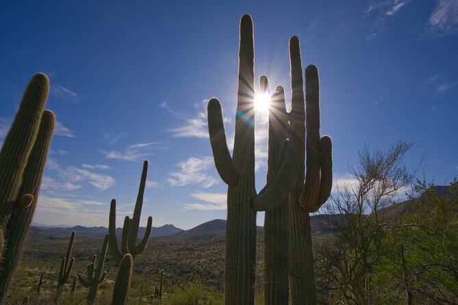 Iconic Tom's Thumb Guided Hiking Adventure in Scottsdale, Arizona - Nearby desert features you’ll hear about: Gateway Loop, Marcus Landslide, and the saguaro forest