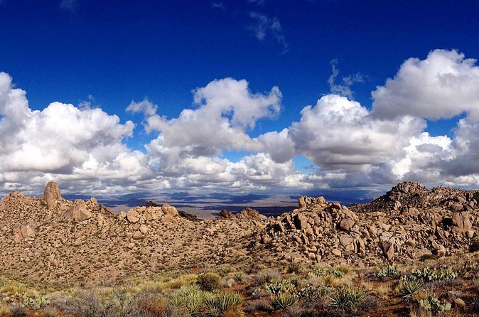 Iconic Tom's Thumb Guided Hiking Adventure in Scottsdale, Arizona - The guides: why names like Doug and Henry keep coming up