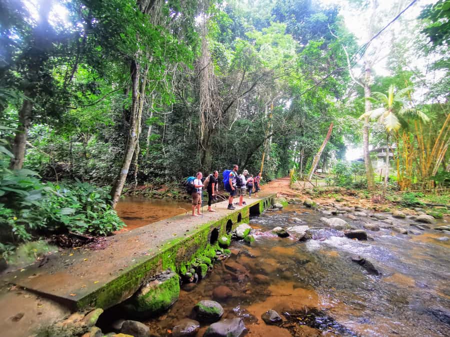 Ilha Grande: Private Hiking with Forest, Beaches & Waterfall - Vila do Abraão to the Trailhead: How Your Day Starts